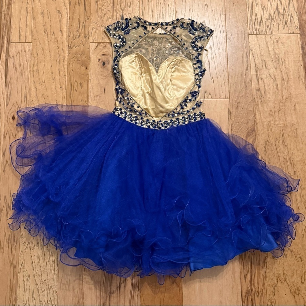 Royal Blue Beaded Fit and Flare Dress - Picture 3 of 3